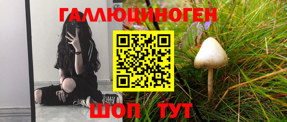 Дербент  Псилоцибиновые грибы прущие грибы  Вход с VPN 
